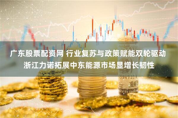 广东股票配资网 行业复苏与政策赋能双轮驱动 浙江力诺拓展中东能源市场显增长韧性