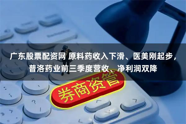 广东股票配资网 原料药收入下滑、医美刚起步,普洛药业前三季度营收、净利润双降