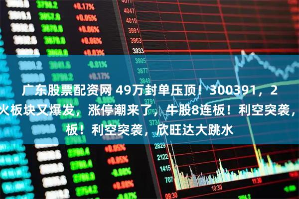 广东股票配资网 49万封单压顶！300391，20cm跌停！最火板块又爆发，涨停潮来了，牛股8连板！利空突袭，欣旺达大跳水