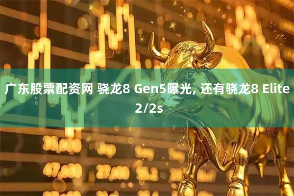 广东股票配资网 骁龙8 Gen5曝光, 还有骁龙8 Elite 2/2s