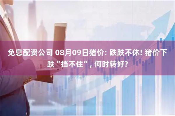 免息配资公司 08月09日猪价: 跌跌不休! 猪价下跌“挡不住”, 何时转好?